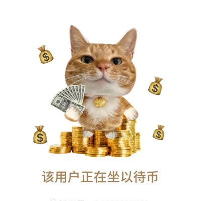 Amber0v01's profile picture. @Zypher_Network #Web3 #zkp #AI #BNB #SOL #Memecoin Stay Hungry Stay Foolish.