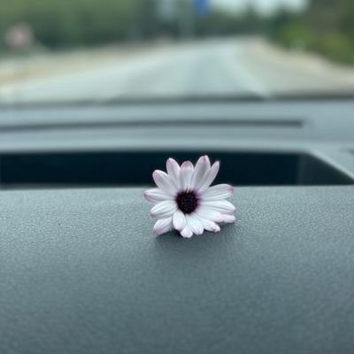 SuuTechh's profile picture. Data Analyst | Excel • Data Cleaning • Data Visualization | Learning Data • Loving Data • Living Data 🔍📊🧬