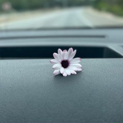 Surayyaa_A's profile picture. Exploring Epidemiology & One Health 🌍 | Books📚 Nature and quiet moments of life 🍂 | Zoology Student@ABU