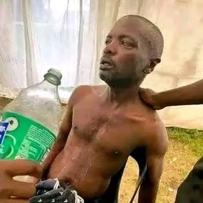 mekamak780's profile picture. 