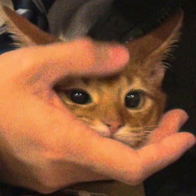 hyunmint_'s profile picture. never take things for granted