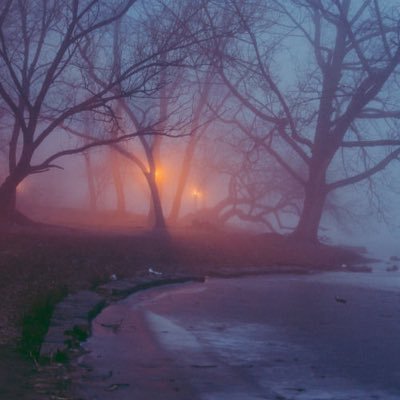 CCCecilia_H's profile picture. 