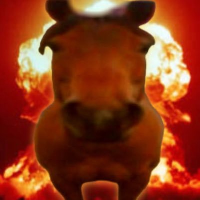 randm2169721's profile picture. 26 ans 🇨🇬, +24cm | j’achète photos de pieds et autre