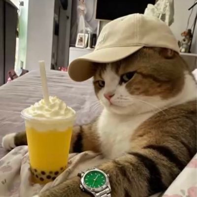 oxpropheth's profile picture. Enigma