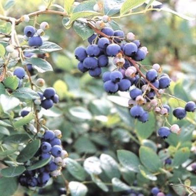 IaMk6n1's profile picture. アラフォー♡婚外アカ