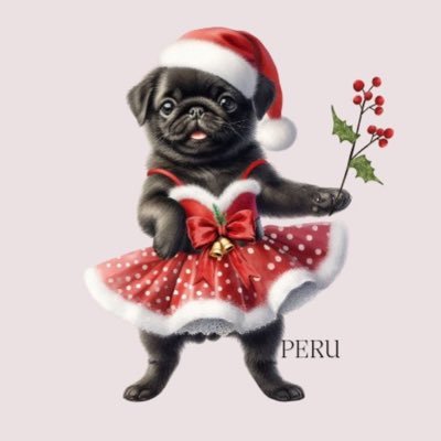 kuropugperu's profile picture. 我が家の愛犬 黒パグ ペルです🐨👩飼主パグ中毒につきお気に入りパグさん居れば無言フォロー失礼します🙇‍♂️ 初代柴犬1997/4/5〜2012/9/29 🌈 二代目黒パグ2012/8/9 〜2023/3/23🌈 三代目黒パグ2023/08/03〜🏠10/5