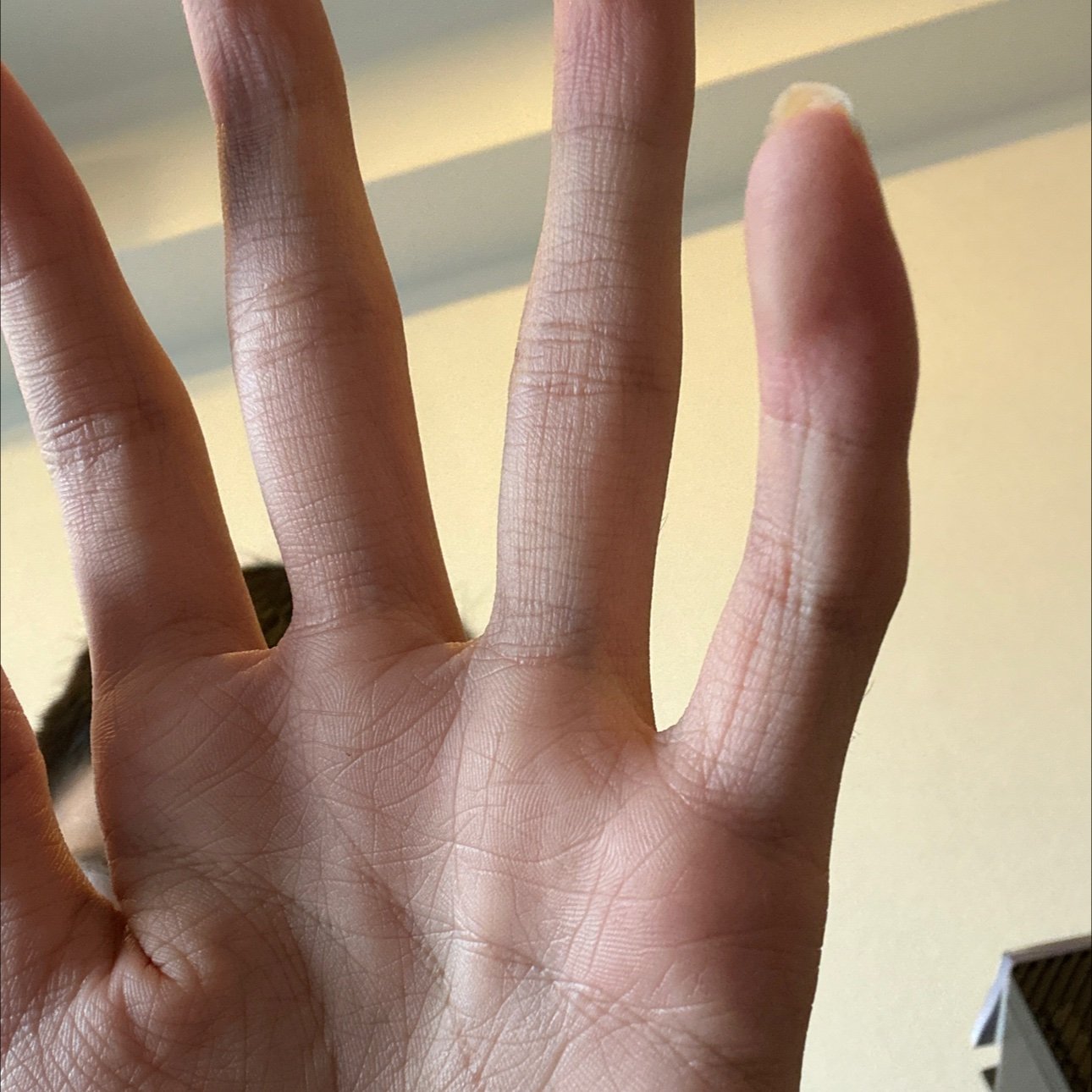 JaidenLimxh's profile picture. I don’t rly use twitter cause Elon is buns. fuck twitter or X