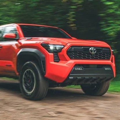 withNifemi's profile picture. The global top is the goal.