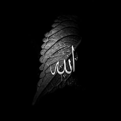 Revertstories_'s profile picture. 