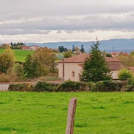 BonSensInterdit's profile picture. 🇨🇵🇨🇵🇨🇵🇨🇵🇨🇵🇨🇵🇨🇵