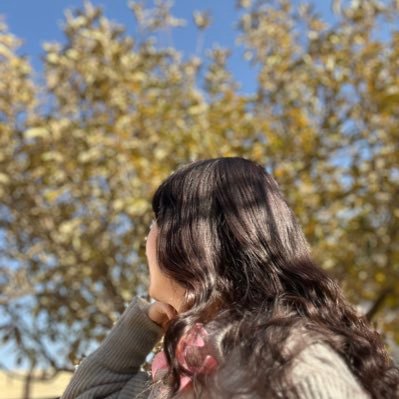 Shabrang1741's profile picture. 