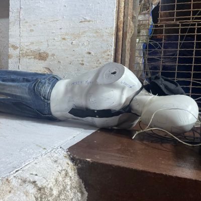 sharklaka's profile picture. Aspiring prison warden. I design very effective correctional programs that turn hardened criminals into labubu lovers.