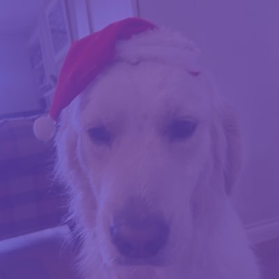 pawz4milo's profile picture. 