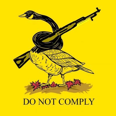 5rvrsprince's profile picture. we the new rockstars baby