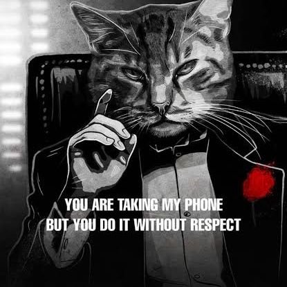 ITS_NIKHIL_56's profile picture. 