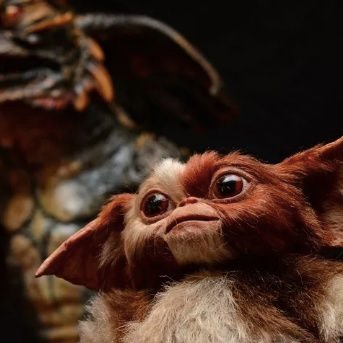 Gizmo457634's profile picture. 