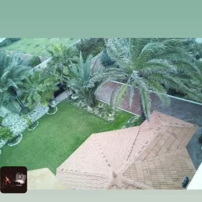 Mohammedal42268's profile picture. 