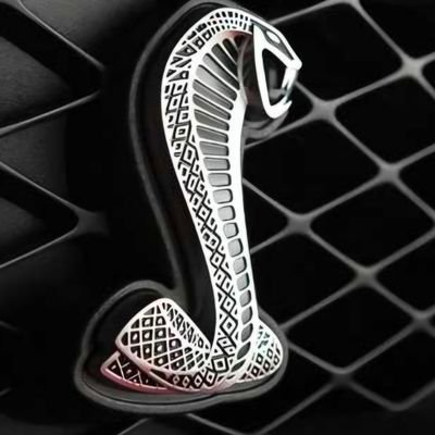 JohnH6069232364's profile picture. Collector of THINGS                                                        
Lux in Tenebris