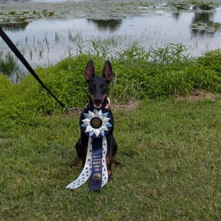 AwakeningEarth1's profile picture. Real estate investment and construction project management are my goals.