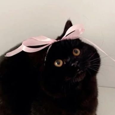 necromancticism's profile picture. 지문 인식 후 입장 가능한 레스토랑 풀코스