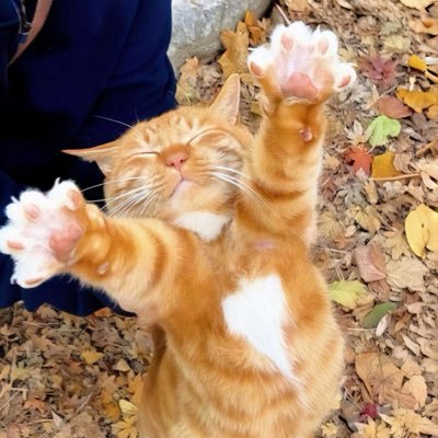 Thufromjupiter's profile picture. 