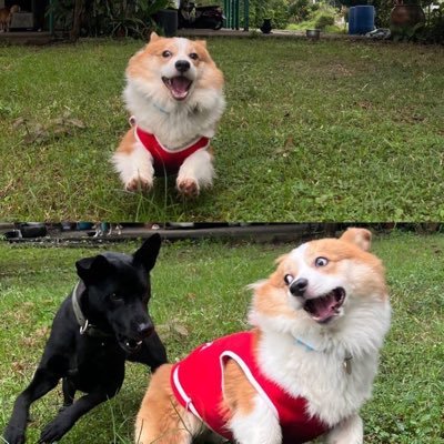 momoFairyBabe2's profile picture. 𝑰 𝒑𝒓𝒐𝒎𝒊𝒔𝒆 𝒏𝒐𝒕 𝒕𝒐 𝒈𝒐,𝑰𝒇 𝒚𝒐𝒖 𝒑𝒓𝒐𝒎𝒊𝒔𝒆 𝒕𝒐 𝒔𝒕𝒂𝒚. @malisorn00💛🌻 @JUNE_NANNIRIN😼 @Enjoyyotdrr🐶 แฟนครับ 👩‍❤️‍💋‍👩 @TWJHZ52