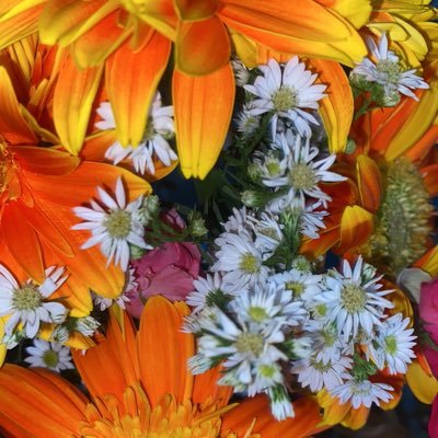 upleasedontcry's profile picture. 