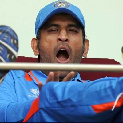 LazyLongOn's profile picture. Expect swing, spin, and occasional nonsense

   Satire level: Ashes rivalry.