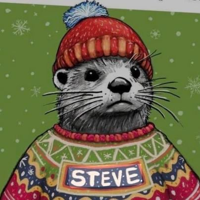 stevis78's profile picture. Smart Tampa fan, unapologetic Florida man. Sore loser.