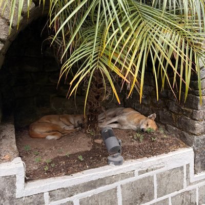 doritos29_'s profile picture. 