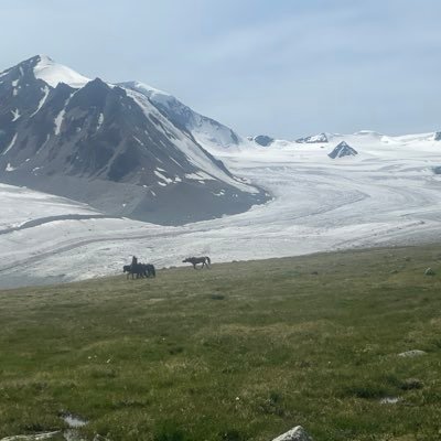 MunkhChuluunm35's profile picture. Хязгаарыг давж сэтгэ