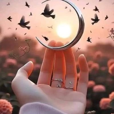 EmmaMiller34069's profile picture. I don’t chase, I attract 💅