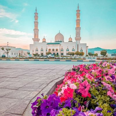 ciri32745's profile picture. 