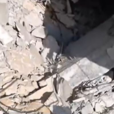 HabibaM38738107's profile picture. Habiba, 25, Gaza — mother of two babies with no milk, diapers or shelter. Husband injured, family homeless in a torn tent. Seeking urgent help to survive.