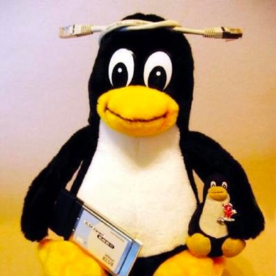 TheBitFlipper's profile picture. Proud vibe coder. I love Gouda 🧀! Prev @MIT CS. Follow me on GitHub!