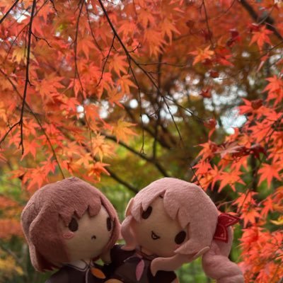 CoolEnanan430's profile picture. 🧊-20℃でおいしいえななん🦀ナナフシダンスさん好き🐜ｺﾛｺﾛ𖦹ｺﾛｶﾞﾘｳﾑ🎨えなぬい撮影✰Thank you for the like on my prsk nui photo𓏲𓎨☁︎🎨えな村ID5147065802457098❖ニーゴWL絵名ちゃぷ966位🎨次ぬい旅🌊みずえな🦐冬の海旅