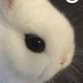 wizviks's profile picture. 25+ 
brain currently operated by ocbd 🌍。