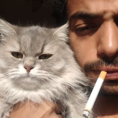 lostalolo's profile picture. Struggling