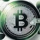 islam_muha70133's profile picture. #wallchin