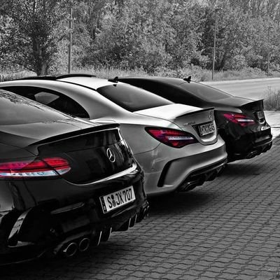 MvF2q's profile picture. 