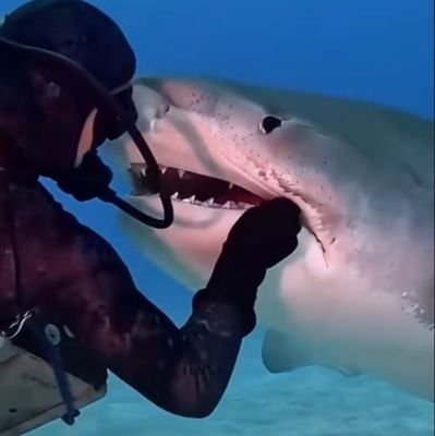 borsamelon's profile picture. 🦄Temel Analiz-Teknik Analiz-Takas Analizi
#teknikanaliz
#temelanaliz
#takasanalizi