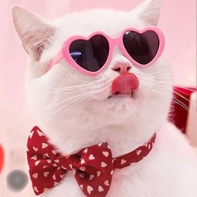 HormNoey's profile picture. ป๋อจ้าน 🦁🐰🤍🦆🐇เก่งน้ำปิง