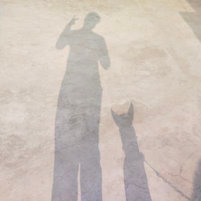 ShivanshTi2539's profile picture. just a guy trying to learn and build