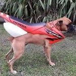 666RSI's profile picture. @2rypt 27