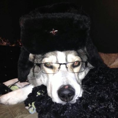 westafzerr2000's profile picture. 🎰