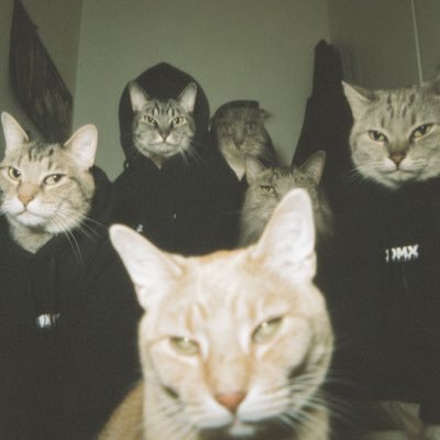 JustNature34's profile picture. I post Memes, Funny animals especially cats  and interesting videos, Nature, and exploring the world one sunrise at a time 🌄💚 #NatureLover