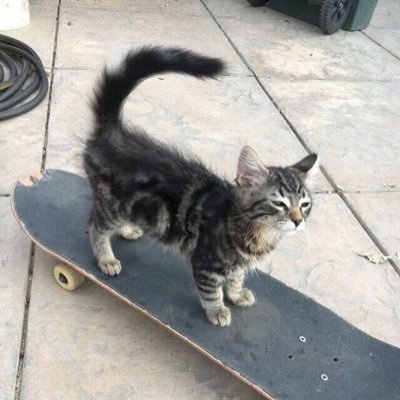 tertydurlelap's profile picture. kid in an adult body, atlet tiap sabtu🧍🏻🧳🪴