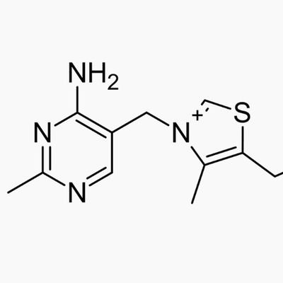 1989kgk's profile picture. Qur. 2:31 『He taught Adam the names, all of them.』