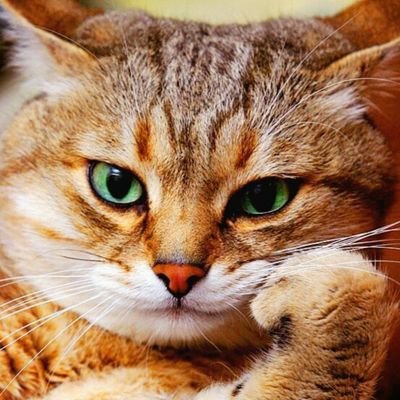 heero01zero1207's profile picture. 