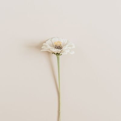 zUtKXqeXM479266's profile picture. 🌊🦋だいすきです